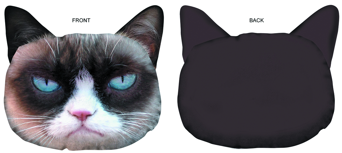 grumpy cat pillow