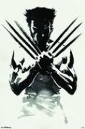 WOLVERINE ONE SHEET 22 X 34 POSTER