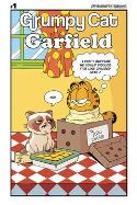GRUMPY CAT GARFIELD #1 (OF 3) CVR F MURPHY COMIC STRIP