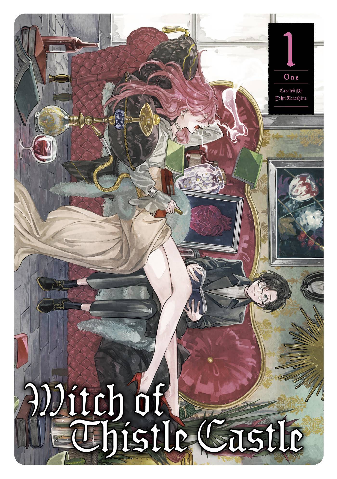 WITCH OF THISTLE CASTLE GN VOL 01 (MAY231167) (MR)