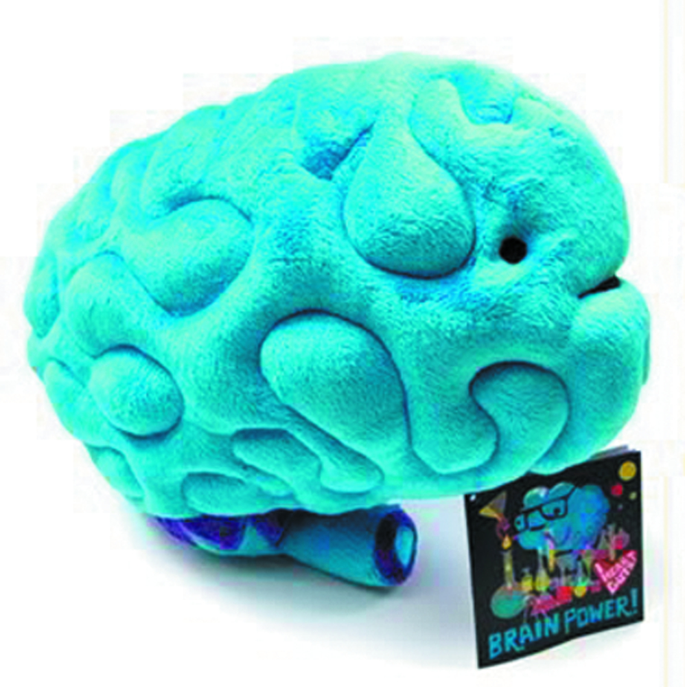 heart and brain plush