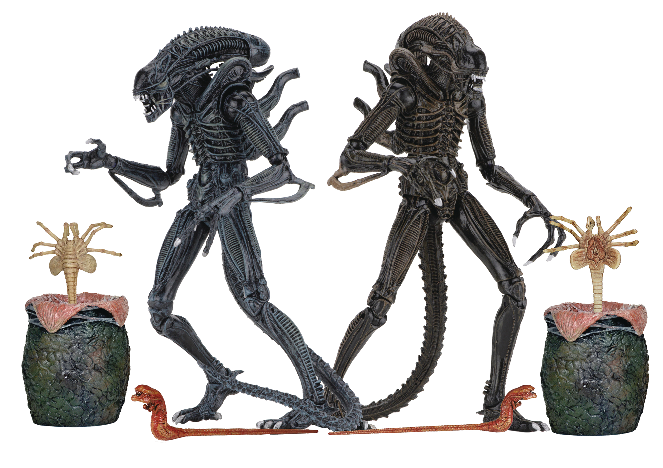 ALIENS ULTIMATE ALIENS WARRIOR 7IN SCALE AF ASST (NOV188661)