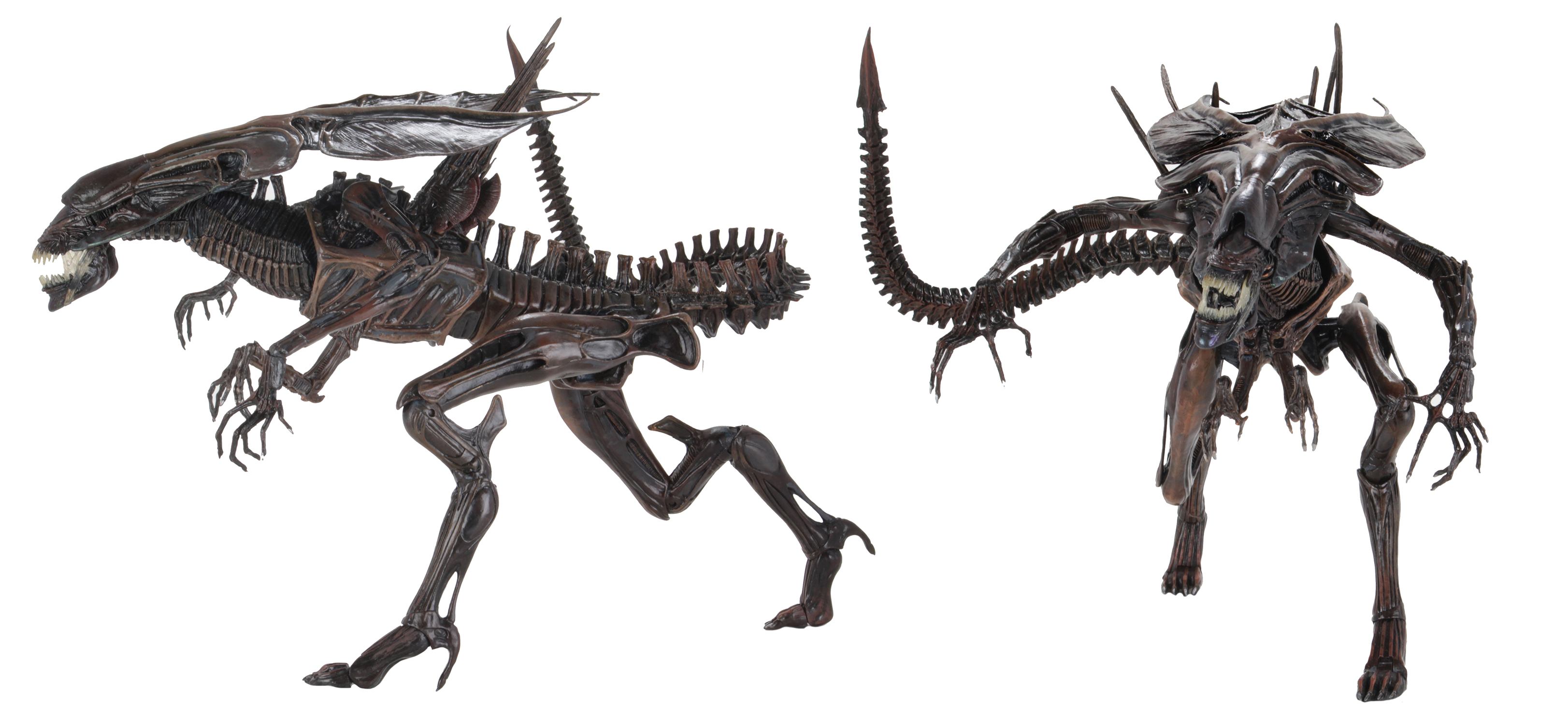 ALIEN RESURRECTION XENOMORPH QUEEN ULTRA DLX AF