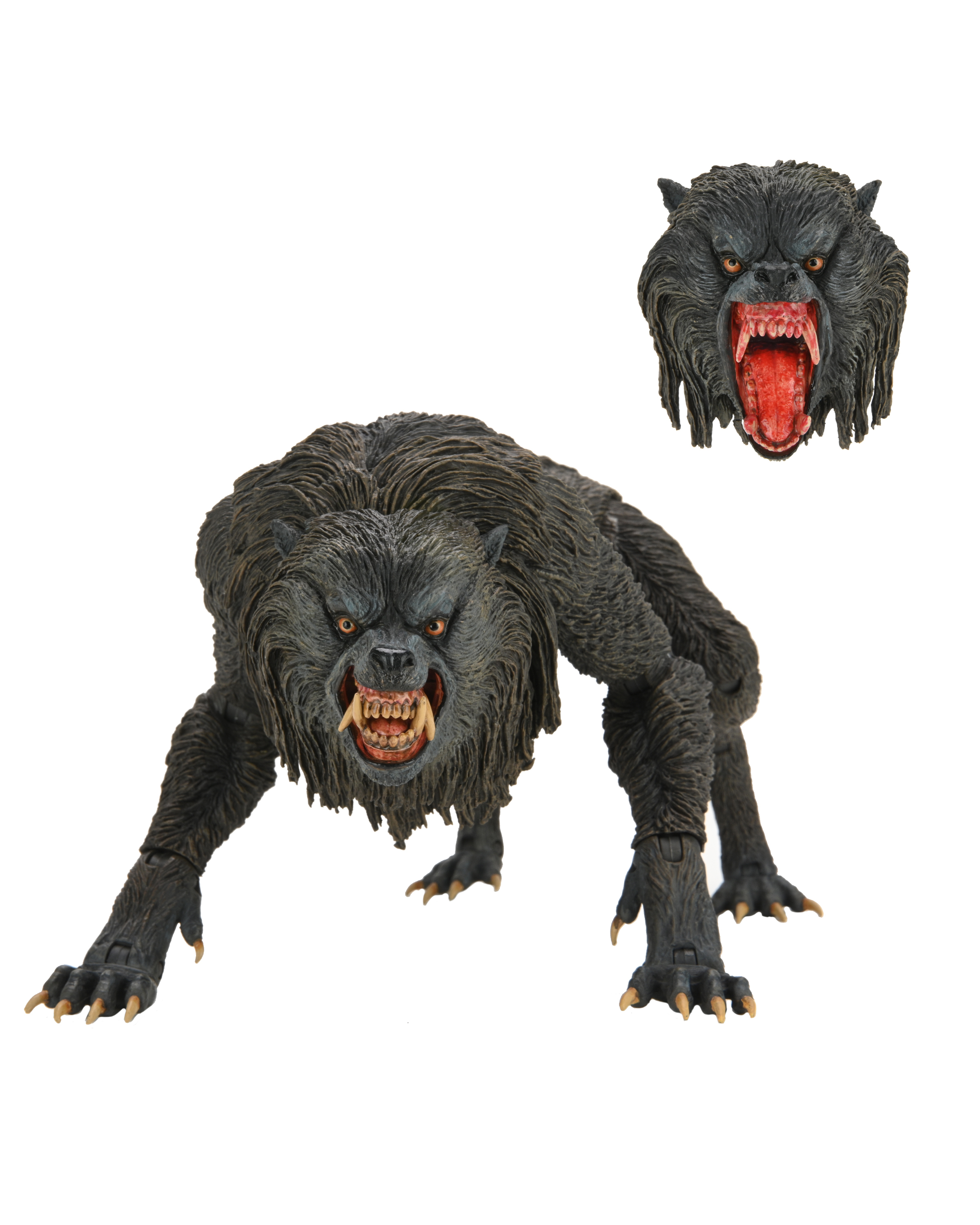 APR218580 - AMERICAN WEREWOLF IN LONDON KESSLER WOLF