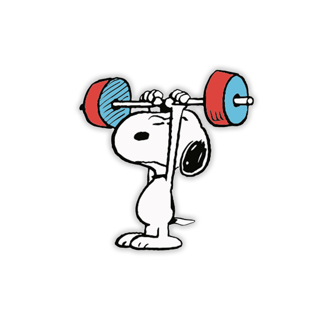 スヌーピーシルバーメダル　アメフト　PEANUTS スヌーピーシルバーメダル アメフト PEANUTS