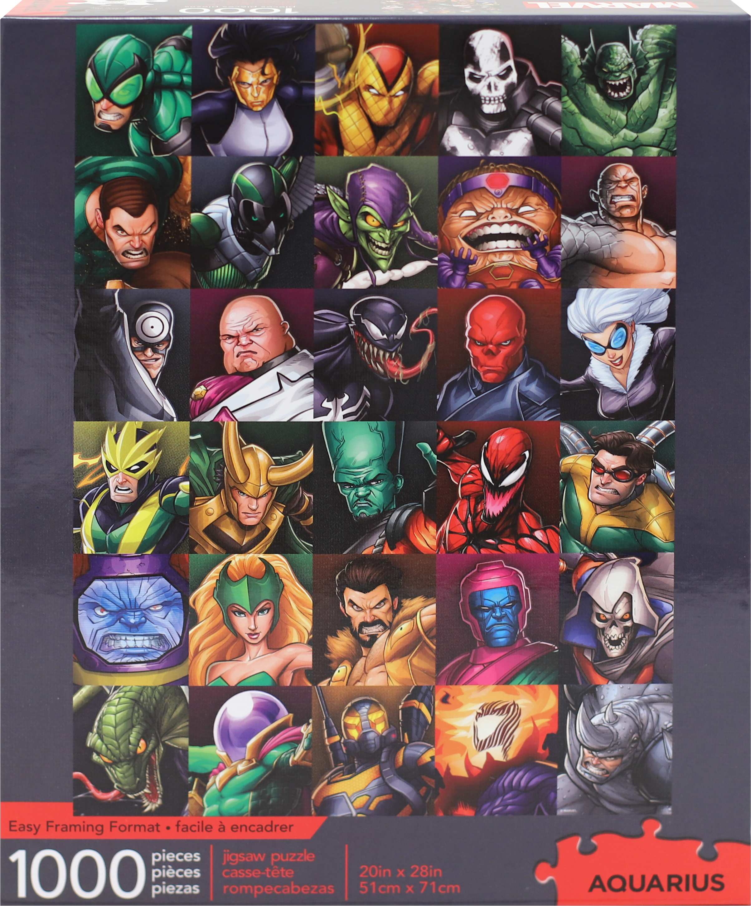 dc super villains puzzle