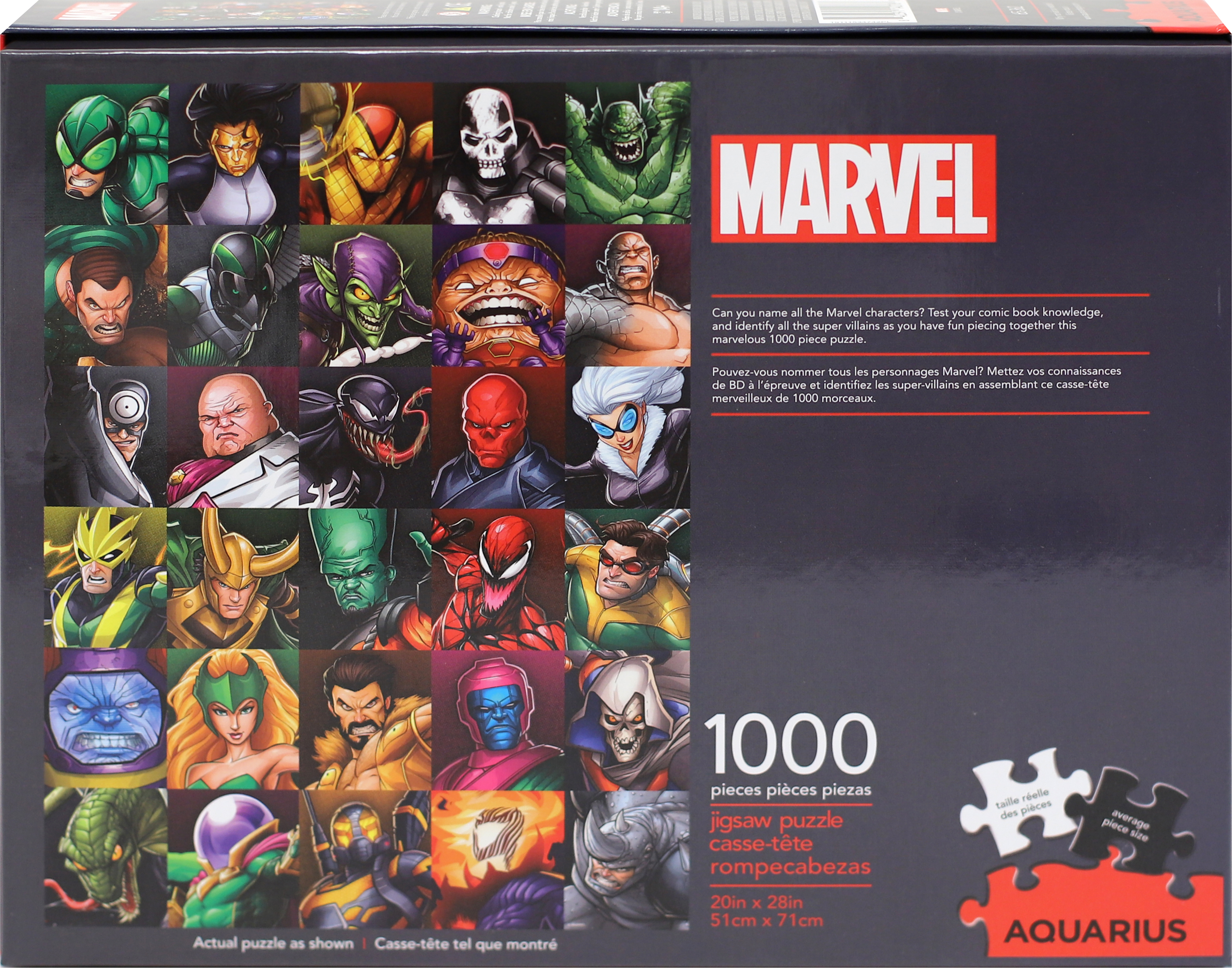 dc super villains puzzle