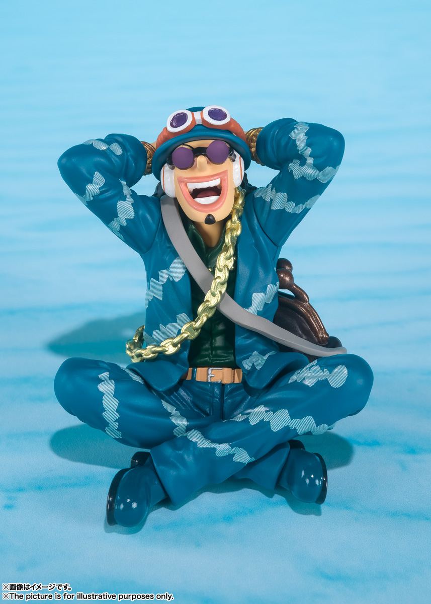one piece tamashii box
