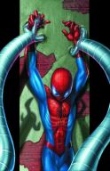 ULTIMATE SPIDER-MAN #17