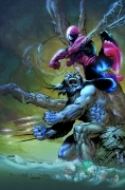 SPIDER-MAN & WOLVERINE #1 (Of 4)