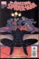 AMAZING SPIDER-MAN #507
