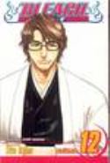 (USE APR138205) BLEACH GN VOL 12