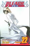 (USE AUG138062) BLEACH GN VOL 22