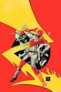 FLASH REBIRTH #4 (OF 6)