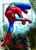 SPIDER MAN ARCHIVES T/C BOX