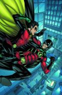 RED ROBIN #14