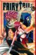 FAIRY TAIL GN VOL 12