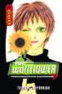 WALLFLOWER GN VOL 22 /23/24 (MR)