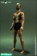 TRIAD OMEGA AFRICAN AMERICAN AF BODY