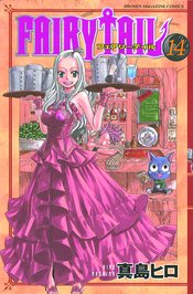 FAIRY TAIL GN VOL 14