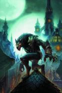 WORLD OF WARCRAFT CURSE OF THE WORGEN HC