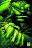 INCREDIBLE HULKS #635 BLANK VAR