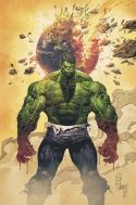 INCREDIBLE HULK #1 BLANK VAR