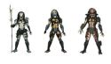 PREDATORS 7-IN AF SERIES 4 ASST