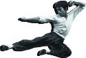 BRUCE LEE FLY FUNKY CHUNKY MAGNET