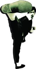 BRUCE LEE KICK FUNKY CHUNKY MAGNET
