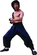 BRUCE LEE STANCE FUNKY CHUNKY MAGNET