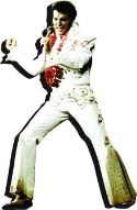 ELVIS PRESLEY HAWAII FUNKY CHUNKY MAGNET