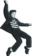 ELVIS PRESLEY JAILHOUSE FUNKY CHUNKY MAGNET