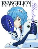 EVANGELION CHRONICLE ILLUSTRATIONS SC VOL 01