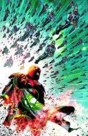 RED LANTERNS #16 (RISE)