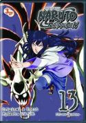 NARUTO SHIPPUDEN UNCUT DVD SET 13