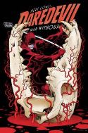DAREDEVIL #21 2ND PTG RIVERA VAR (PP #1055)