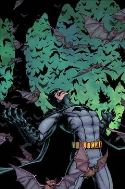 BATMAN INCORPORATED #12