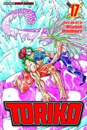TORIKO GN VOL 17