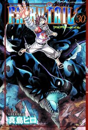 FAIRY TAIL GN VOL 30