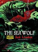 CLASSICS ILLUS DLX HC VOL 11 SEA WOLF