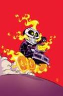 ALL NEW GHOST RIDER #1 YOUNG VAR ANMN