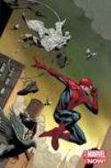 AMAZING SPIDER-MAN #1 OPENA VAR ANMN