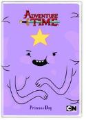 ADVENTURE TIME PRINCESS DAY DVD