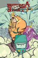 ADVENTURE TIME FLIP SIDE TP VOL 01