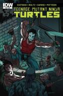 TMNT ONGOING #52