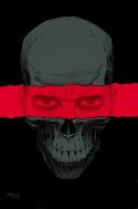 PUNISHER #1 BY SHALVEY POSTER