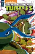 TMNT AMAZING ADVENTURES #11 SUBSCRIPTION VAR