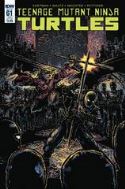 TMNT ONGOING #61 SUBSCRIPTION VAR