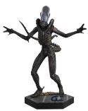 ALIEN PREDATOR FIG COLL #1 ALIEN XENOMORPH